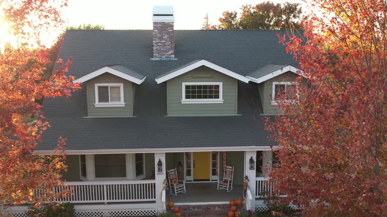 Best Metal Roofing Installation  in Desoto Lakes, FL