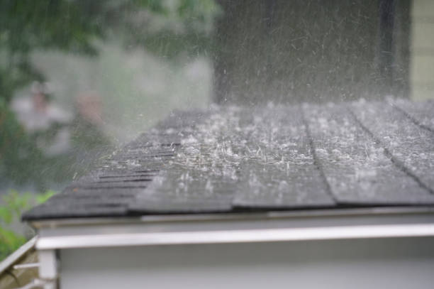  Desoto Lakes, FL Roofing Service Pros