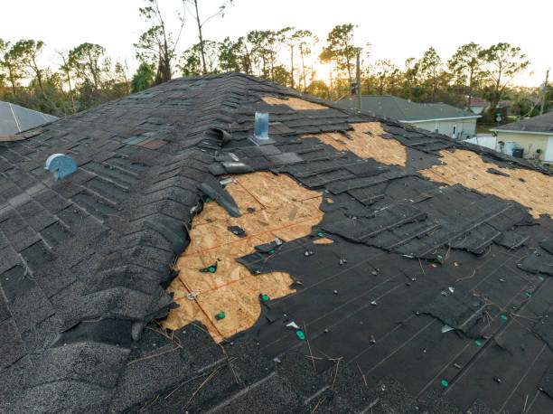 Best 4 Ply Roofing  in Desoto Lakes, FL