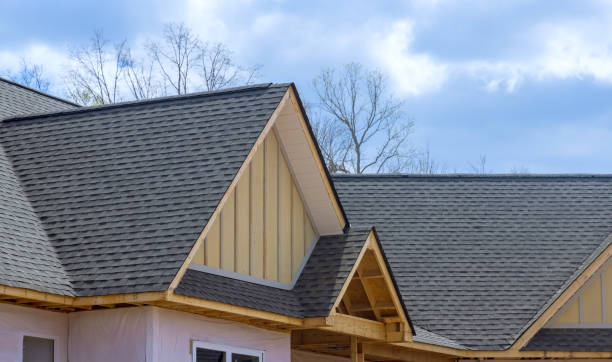 Best Chimney Flashing Repair  in Desoto Lakes, FL