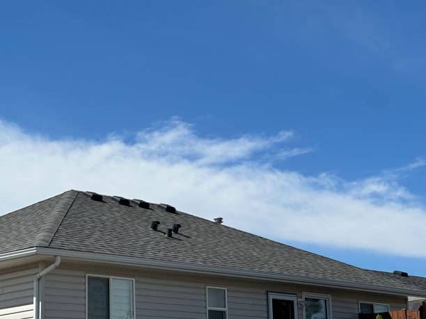 Best Storm Damage Roof Repair  in Desoto Lakes, FL