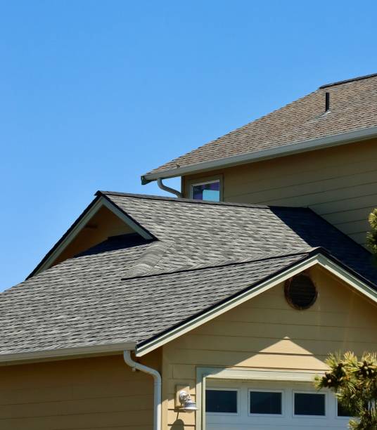 Best Green or Eco-Friendly Roofing Solutions  in Desoto Lakes, FL